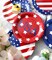 4th of July Plates and Napkins Sets - 40PK - July 4th Dipsposable Paper Plates Decorations Décor Patriotic American Flag Birthday Party Favors Independence Day